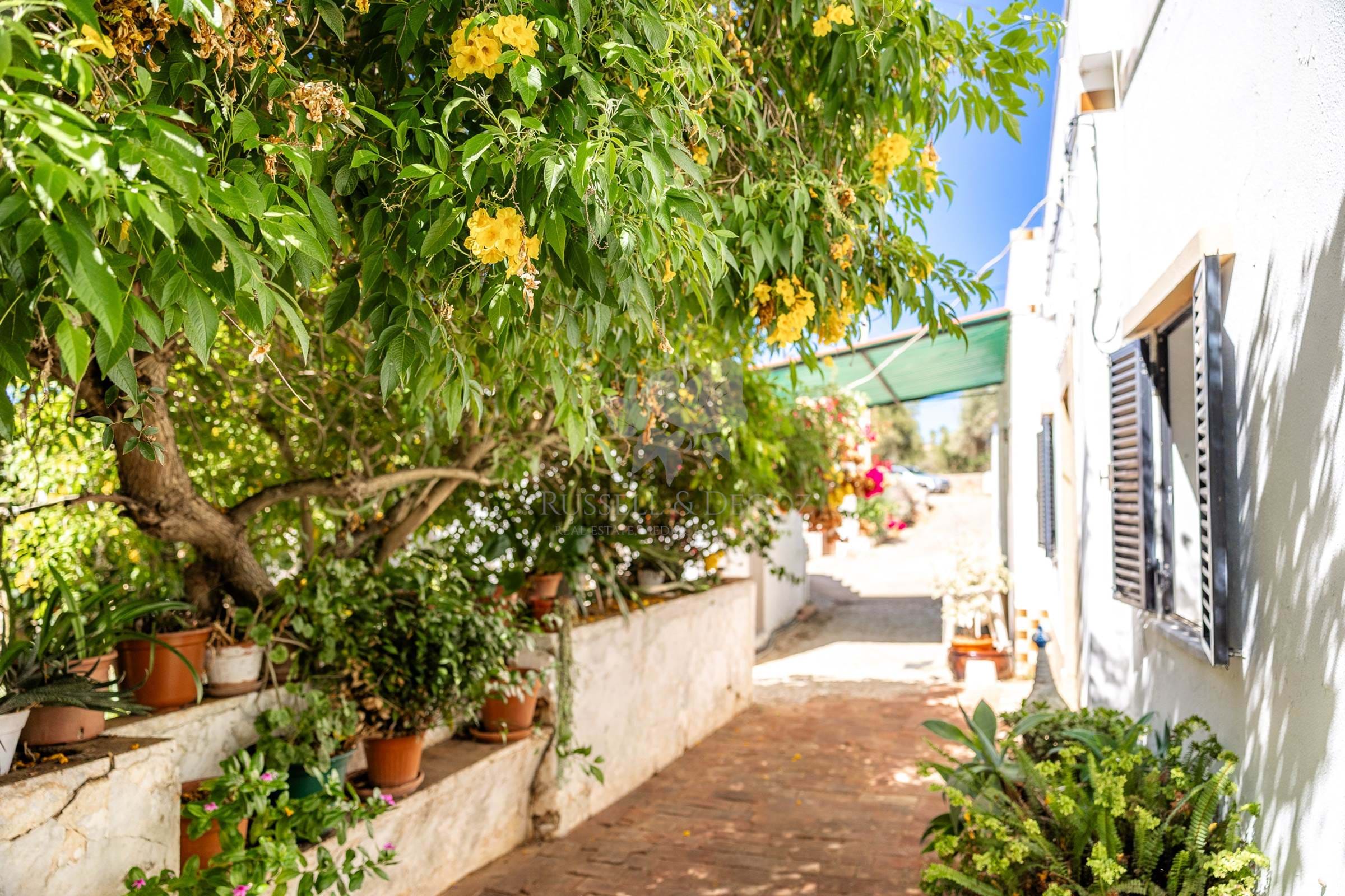 Moncarapacho Is the Hidden Gem of the Algarve You Should Know About